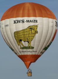 Ballonvaart Brugge Kaas